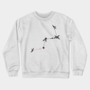 Cassiopeia Constellation Roses and Hearts Doodle Crewneck Sweatshirt